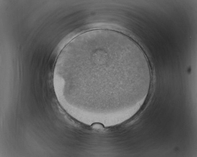 X0000115801529200912241842