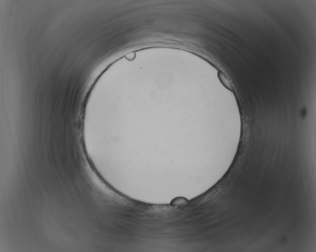 X0000115801531200912241842