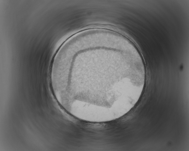 X0000115801533200912241842