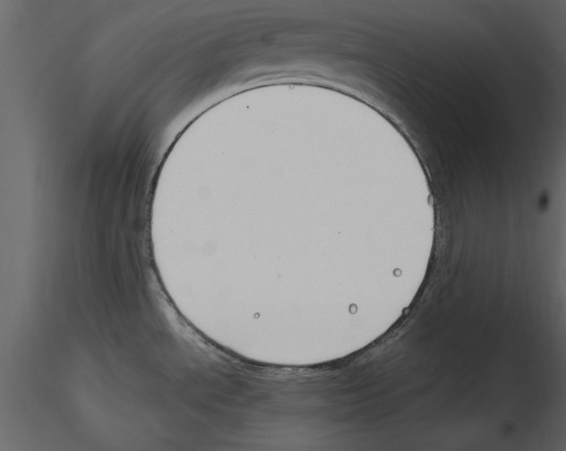 X0000115801534200912241842