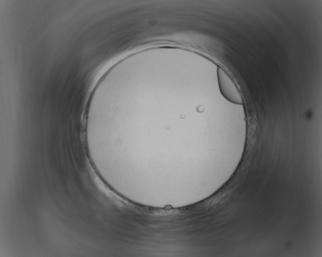 X0000115801535200912241842