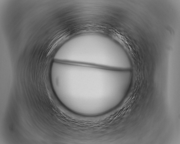 X0000115810001200911131052