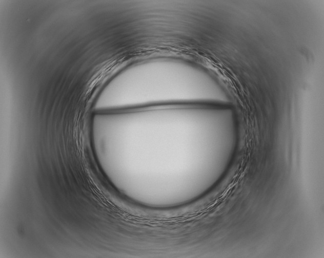 X0000115810002200911131052