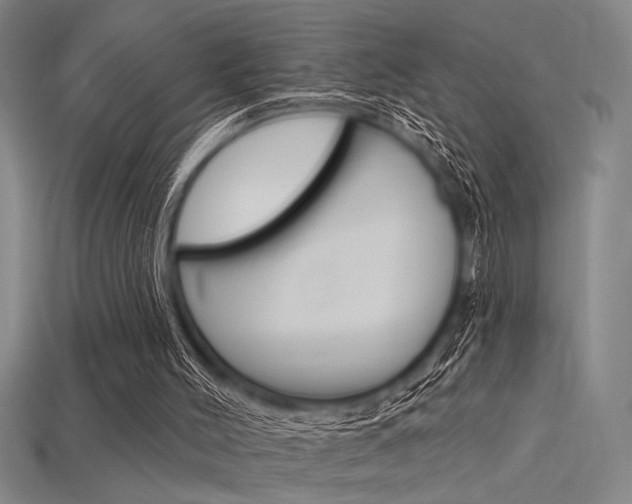 X0000115810004200911131052