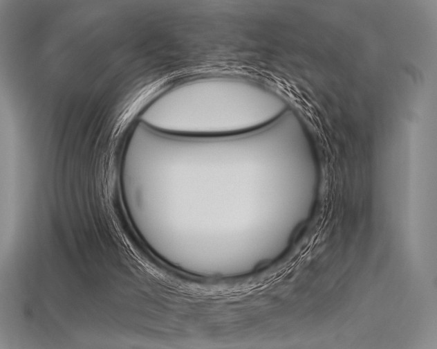 X0000115810005200911131052