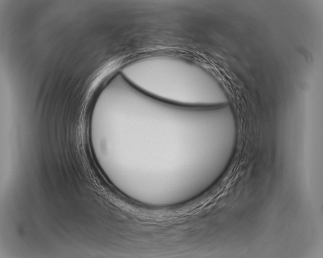 X0000115810006200911131052