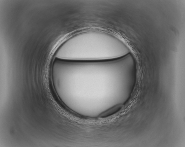 X0000115810007200911131052