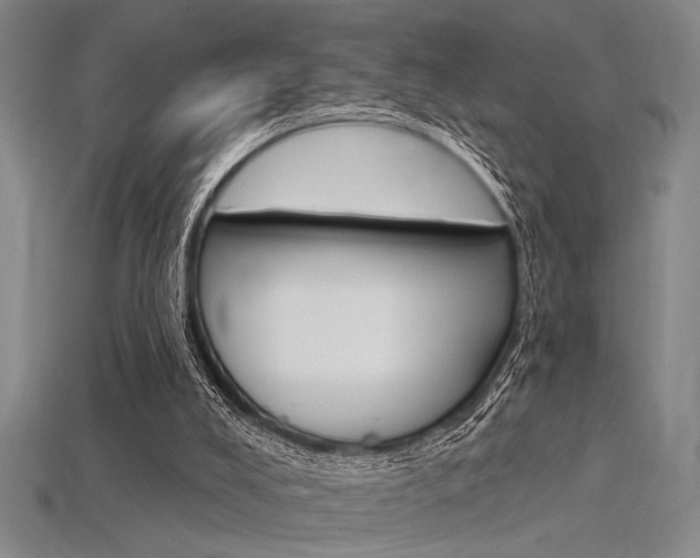 X0000115810008200911131052