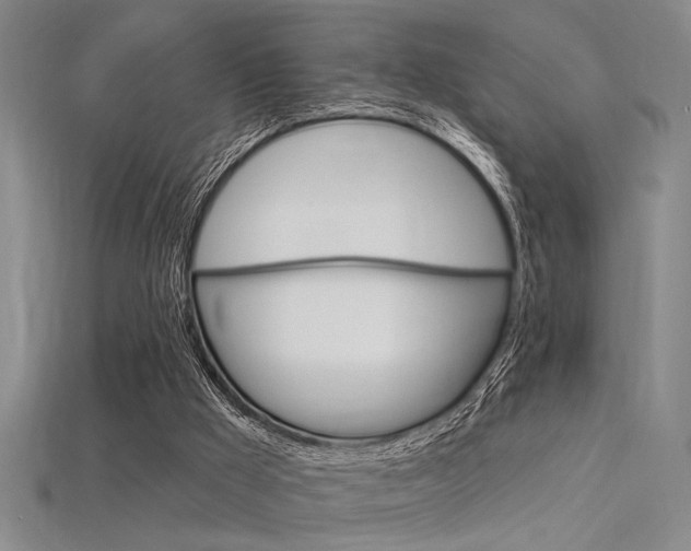 X0000115810009200911131052
