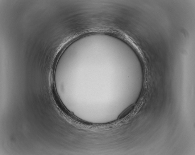X0000115810011200911131051