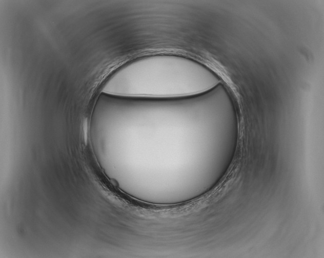X0000115810013200911131051