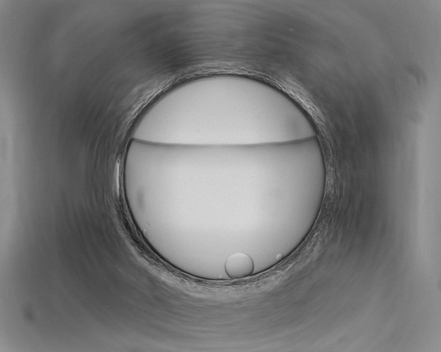 X0000115810014200911131051