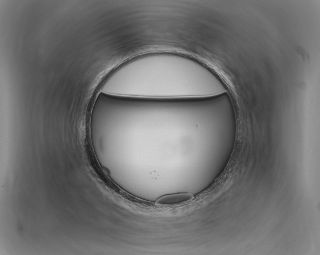 X0000115810015200911131051