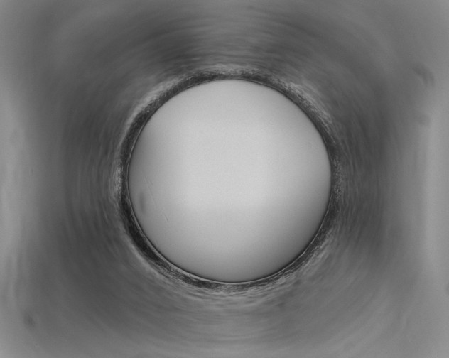 X0000115810016200911131051
