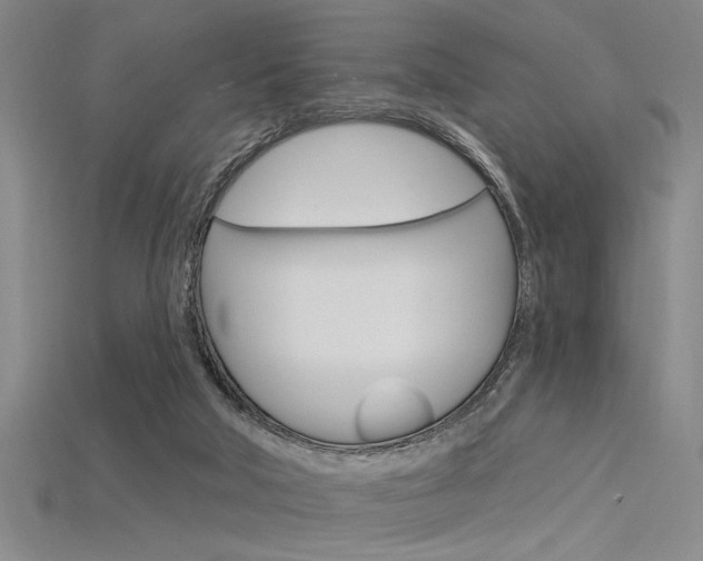 X0000115810018200911131051