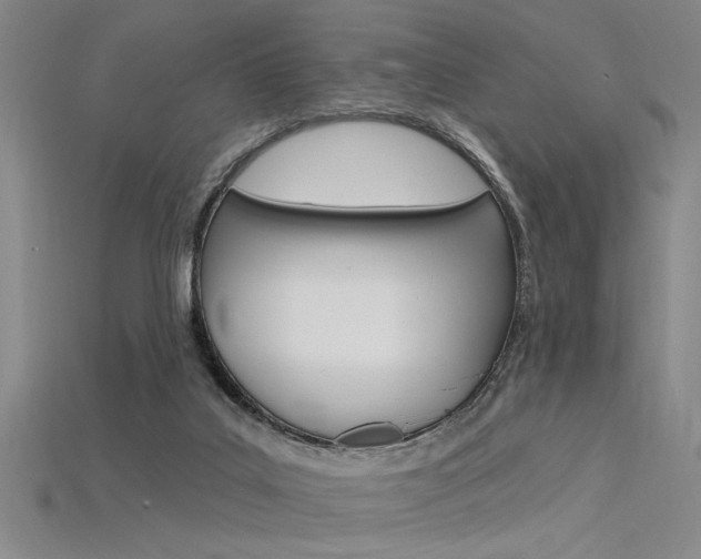 X0000115810019200911131051