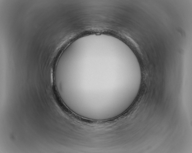 X0000115810020200911131051