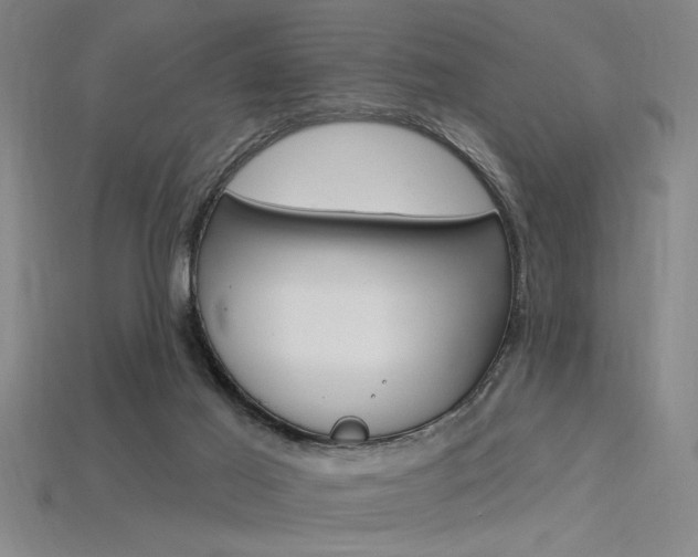 X0000115810021200911131051