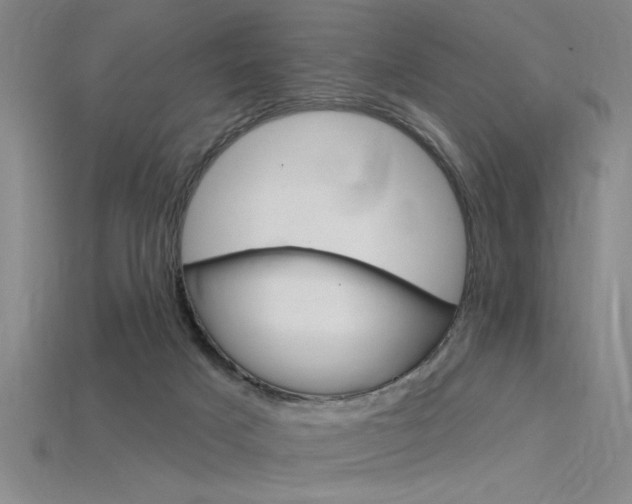 X0000115810025200911131051