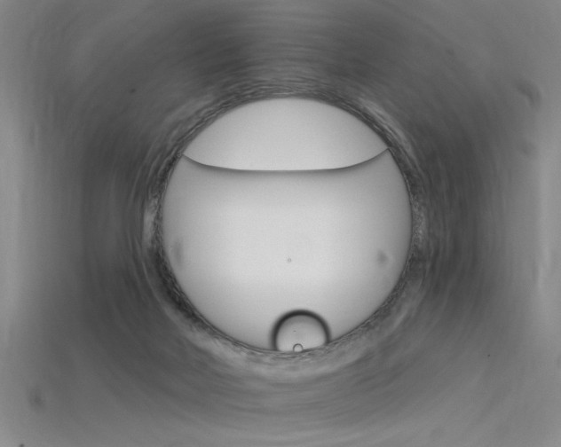 X0000115810026200911131051