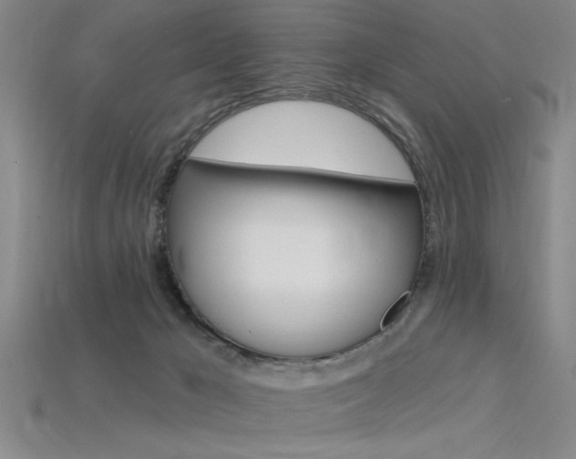 X0000115810029200911131051
