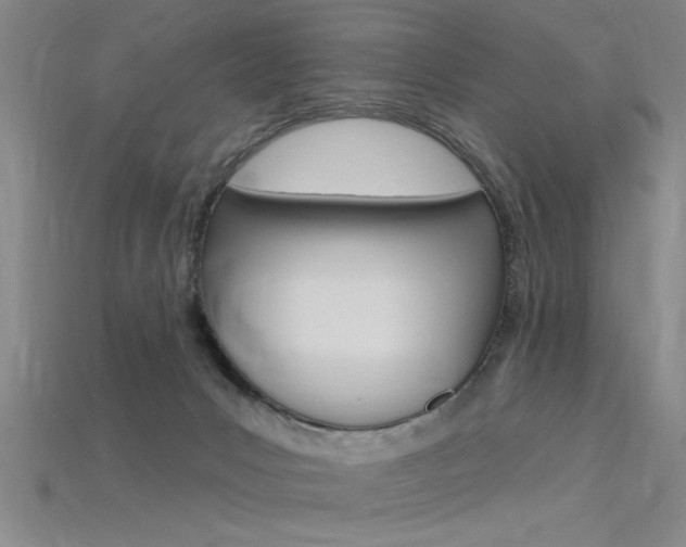 X0000115810031200911131051