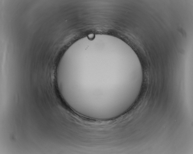 X0000115810032200911131051