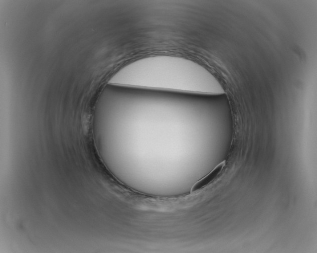 X0000115810033200911131051