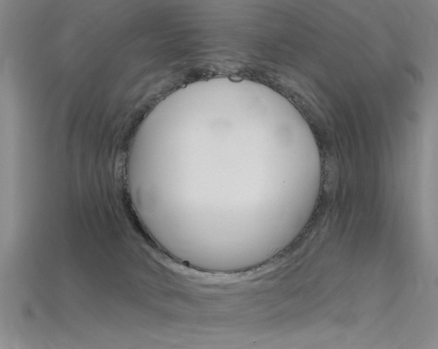X0000115810034200911131051