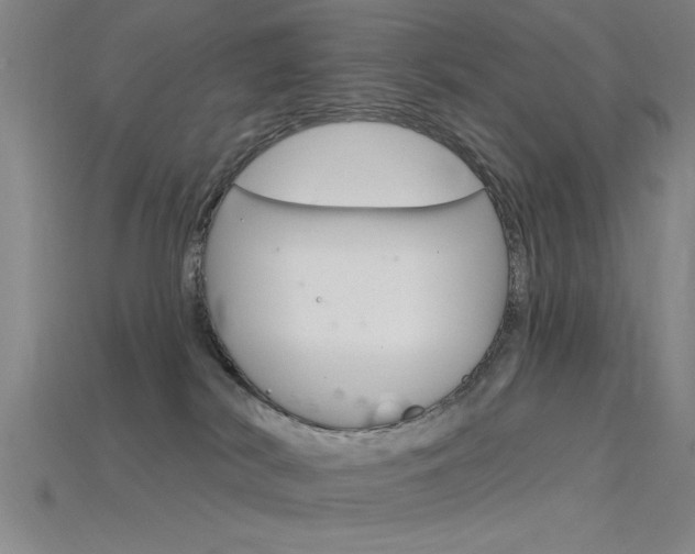 X0000115810038200911131051