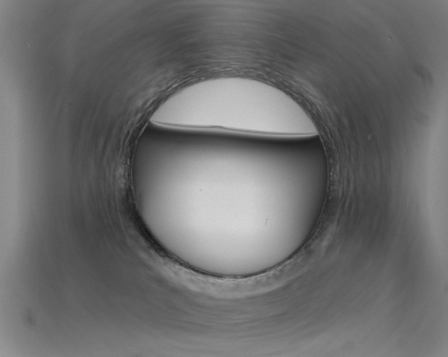 X0000115810039200911131051
