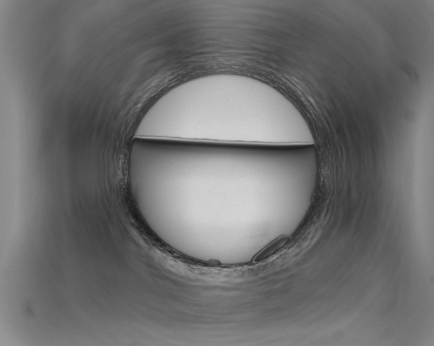 X0000115810044200911131051