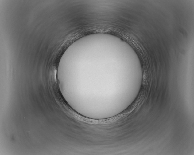 X0000115810046200911131051