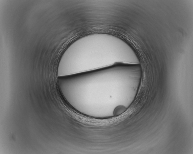 X0000115810048200911131051