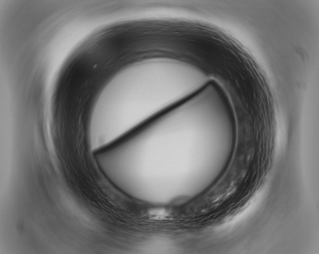 X0000115810050200911131050