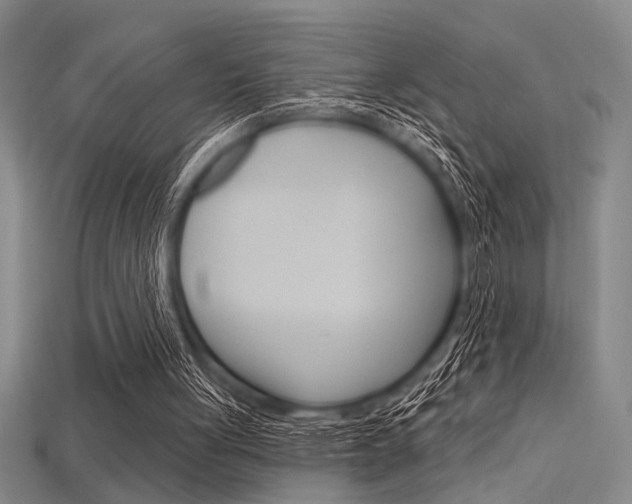 X0000115810051200911131050