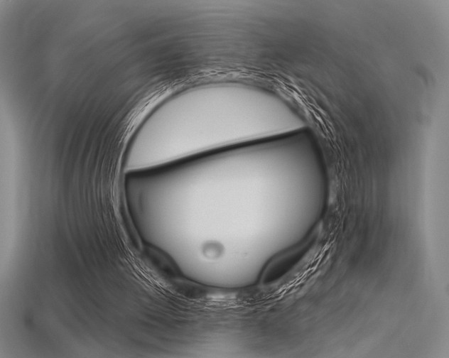 X0000115810052200911131050