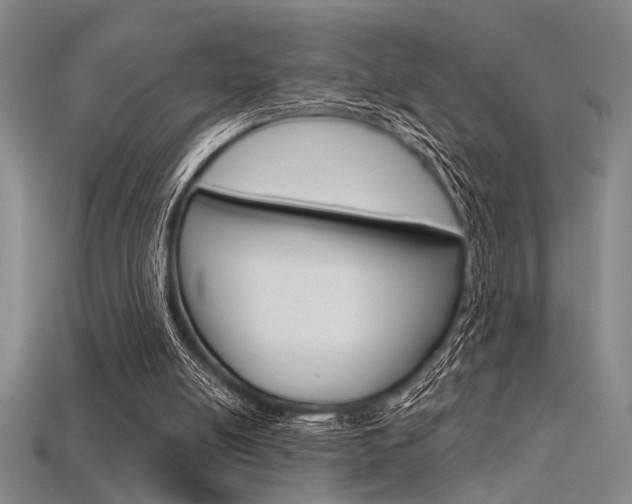 X0000115810054200911131050
