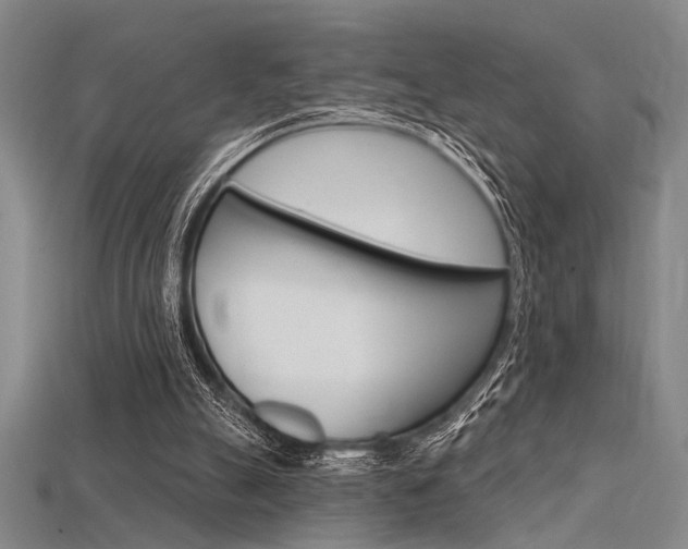 X0000115810055200911131050