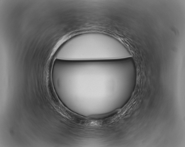 X0000115810056200911131050