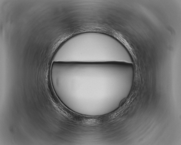 X0000115810058200911131051