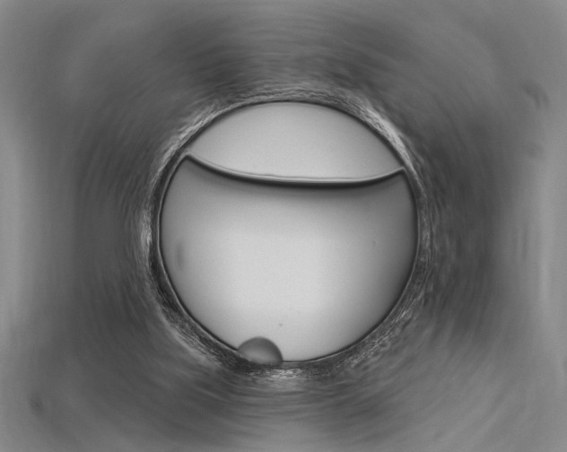 X0000115810059200911131051