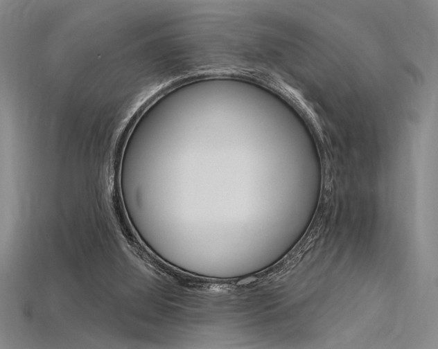 X0000115810060200911131051