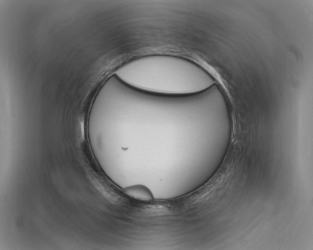 X0000115810061200911131051