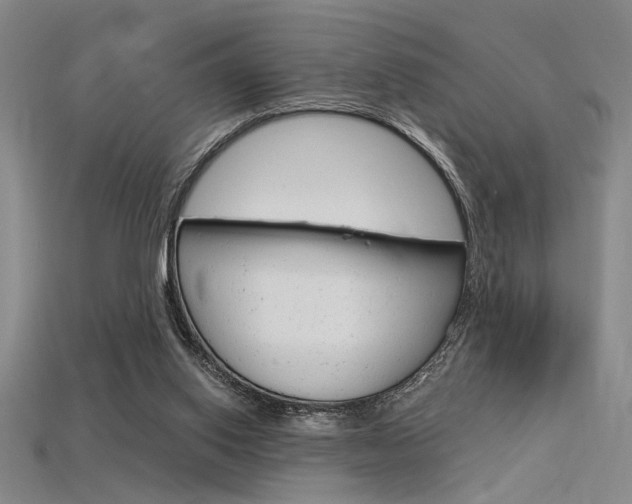 X0000115810062200911131051