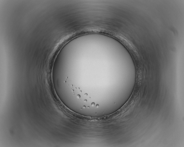 X0000115810064200911131051