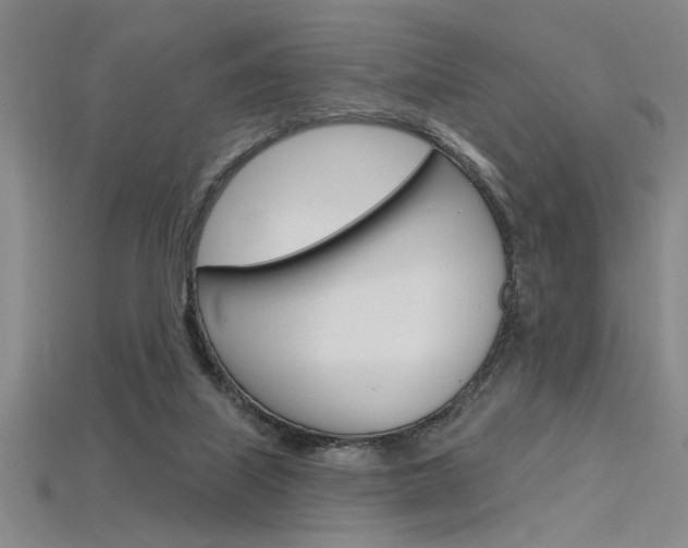 X0000115810067200911131051