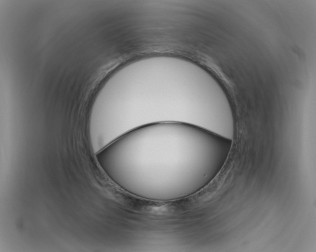 X0000115810068200911131051