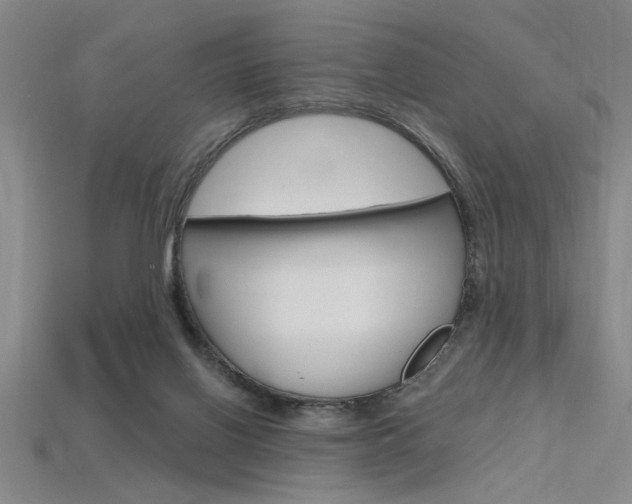 X0000115810070200911131051