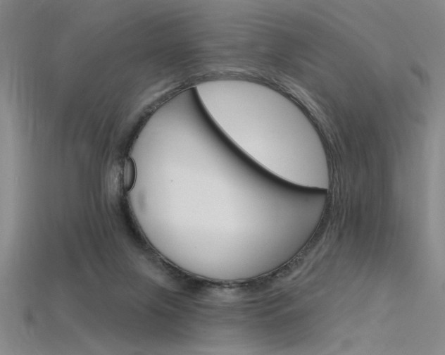 X0000115810071200911131051